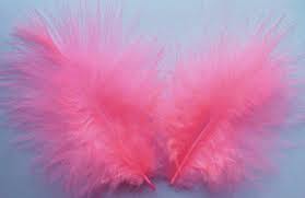 pink-feathers--packet-12-qty-